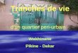 Wakhinane Pikine - Dakar Tranches de vie dun quartier peri-urbain