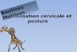 Stabilisation cervicale et posture Routines Motrices