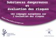 Substances dangereuses et évaluation des risques Une campagne européenne sur lévaluation des risques