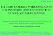 HYBRID TAMARIX WIDESPREAD IN U.S INVASION AND UNDETECTED IN NATIVE ASIAN RANGE Des Tamarix hybrides répandus dans linvasion aux Etats-Unis et pas détectés