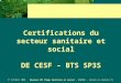 17 octobre 2008 Réunion CFC Champ Sanitaire et social – RNRSMS – rnrsms.ac-creteil.fr Certifications du secteur sanitaire et social DE CESF – BTS SP3S