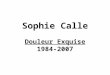 Sophie Calle Douleur Exquise 1984-2007. Sous la forme dinstallations, de photographies, de textes, de vidéos et de films, Sophie Calle traite de sa vie