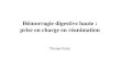 Hémorragie digestive haute : prise en charge en réanimation Tristan Ferry