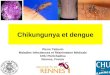 Chikungunya et dengue Pierre Tattevin Maladies Infectieuses et Réanimation Médicale CHU Pontchaillou Rennes, France