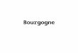 Bourgogne. Algemeen Oppervlakte: 28.500 Ha Ligging: Noord-Oosten tussen Dijon en Lyon Klimaat: Gematigd continentaal, strenge winter Druiven: Chardonnay(w)