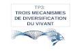TP3: TROIS MECANISMES DE DIVERSIFICATION DU VIVANT