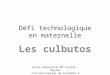 Défi technologique en maternelle Les culbutos Ecole maternelle Mi Plaine – Meylan Circonscription de Grenoble 5