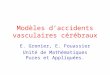 Modèles d’accidents vasculaires cérébraux E. Grenier, E. Fouassier Unité de Mathématiques Pures et Appliquées