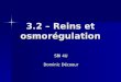 3.2 – Reins et osmorégulation SBI 4U Dominic Décoeur