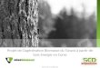 Projet de Cogénération Biomasse du Taravo à partir de bois énergie en Corse Strictement confidentiel