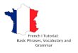 French I Tutorial: Basic Phrases, Vocabulary and Grammar