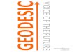 Geodesic Annual Report 2008-09