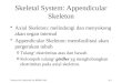 Appendicular Skeleton PPT