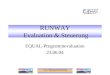 Institut Planung und Beratung RUNWAY Evaluation & Steuerung EQUAL-Programmevaluation 23.06.04