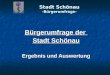 Stadt Schönau -Bürgerumfrage- Bürgerumfrage der Stadt Schönau Ergebnis und Auswertung
