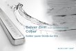 Balver Zinn Josef Jost GmbH & Co.KG Cobar Solder paste SCAN-Ge 071
