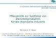 10. Symposium Nachwachsende Rohstoffe für die Chemie 28.03.2007, Oldenburg Pflanzenöle zur Synthese von Zwischenprodukten für die chemische Industrie Michael