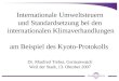 Internationale Umweltsteuern und Standardsetzung bei den internationalen Klimaverhandlungen am Beispiel des Kyoto-Protokolls Dr. Manfred Treber, Germanwatch