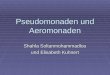 Pseudomonaden und Aeromonaden Shahla Soltanmohammadlou und Elisabeth Kuhnert