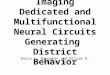 Imaging Dedicated and Multifunctional Neural Circuits Generating District Behavior Kevin L. Briggman and Wiliam B. Kristan Jr