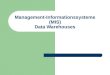 Management-Informationssysteme (MIS) Data Warehouses
