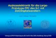 Ausleseelektronik für die Large- Prototype-TPC des ILC mit Zeit/Digitalwandlern von Oliver Schäfer Vortrag zur DPG Frühjahrstagung (05. bis 09. März 2006,