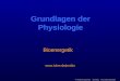 © Heribert Cypionka SS 2003,  Grundlagen der Physiologie  Bioenergetik