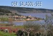 Im Frühjahr, während unseres Urlaubs im Hérault, haben wir den Cirque de Mourèze ent- deckt, ein Felsenmeer aus grau- em Dolomitstein, das mit seinen