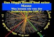 Das Higgs Boson und seine Masse Was lernen wir von der Entdeckung am LHC ?