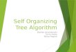 Self Organizing Tree Algorithm Bastian Jarzembinski Enrico Bade Tobias Aagard