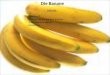 Die Banane Inhalt: 1.Herkunft 2.Warum ist die Banane krumm. 3.Die Bananenstaude 4.Bana Fair