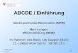 Schweizer Armee LBA Sanität 2011 ABCDE / Einführung Cardio-pulmonale Reanimation (CPR) Herz-Lungen- Wiederbelebung (HLW) im Rahmen des Basic Life Support