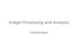 Image Processing and Analysis Introduction. How do we see things ?