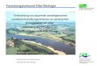 Bundesanstalt für Gewässerkunde Projektgruppe Elbe-Ökologie PG-Elbe@bafg.de Forschungsverbund Elbe-Ökologie "Entwicklung von dauerhaft umweltgerechten