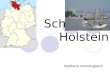 Schleswig- Holstein Eleftheria Chondrogianni. Schleswig- Hostein Schleswig-Holstein liegt ganz im Norden Deutschlands und ist somit das nördlichste Bundesland
