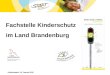 Fachstelle Kinderschutz im Land Brandenburg Arbeitsstand: 14. Januar 2015