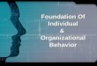 Foundation of Individual OB