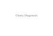 Clastic Diagenesis