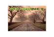KioskNET Magazine Year2 Issue10