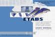 ETABS User's Manual