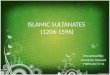 Islamic Sultanates 1206-1596