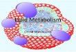 Lipid Metabolism 2