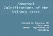 Calcifications of the Urinary Tract