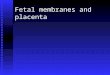 Fetal Membranes and Placenta