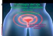 Fisiología del eje Hipotálamo -Hipófisis - Ovario Ciclo Menstrual Dra: Franka Valois Ginecoobstetra HMNSA