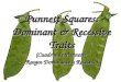 Punnett Squares: Dominant & Recessive Traits (Cuadros de Punnett: Rasgos Dominante y Recesivo)