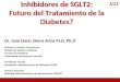 Inhibidores de SGLT2: Futuro del Tratamiento de la Diabetes? Inhibidores de SGLT2: Futuro del Tratamiento de la Diabetes? Dr. Iván Darío Sierra Ariza M.D,