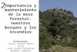 2 Importancia y mantenimiento de la masa forestal: nuestros bosques y los incendios Profesorado: Javier Soriano Martí (UJI) José Carlos Fenollosa Redondo