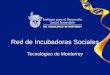 Red de Incubadoras Sociales Tecnológico de Monterrey