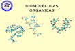 BIOMOLÉCULAS ORGÁNICAS. Biomoléculas La célula está constituida por dos tipos de biomoléculas: las inorgánicas y las orgánicas. Dentro del primer grupo